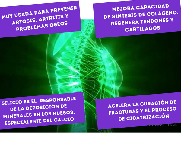 Tierra de Diatomeas Grado Alimenticio (Food Grade). 350 gramos. Consumo Humano